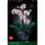 LEGO Creator Botanicals Collection Orchidee 10311