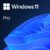 Microsoft Windows 11 Pro 64 Bit – 1 PC – ESD-DownloadESD